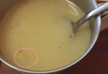 Student pronašao crva u supi, oglasio se Studentski centar: Izvinili mu se, otkrili ko je kriv i kako će biti kažnjen