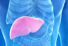 Hepatolog tvrdi da jedno voće obnavlja jetru za 7 dana, a sve zbog ovog enzima