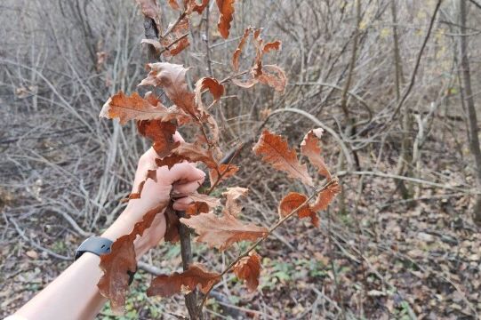 1767370483-1672837680508-640x360-690x480