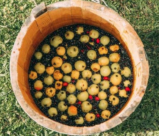 Domaći napitak koji su naši stari pili svako jutro i svako veče za dobro zdravlje: Jača imunite, čisti organizam i pomaže pri mršavljenju