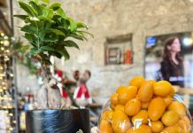 „Zlatna narandža“ koja se jede cijela, čuva zdravlje i daruje prijateljima