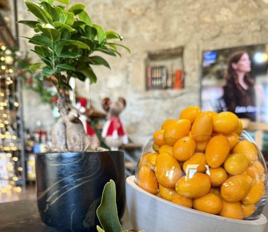 „Zlatna narandža“ koja se jede cijela, čuva zdravlje i daruje prijateljima