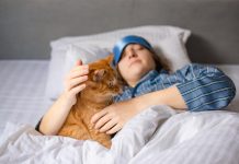 Noć kada su me tri mačke probudile i spasile priča o instinktu i nevidljivoj vezi