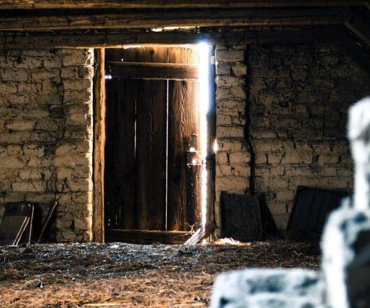 Šokantno otkriće na tavanu: kako je jedan porodični problem otkrio tajnu skrivanu godinama