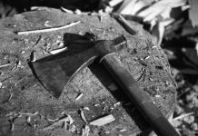 Kako je betonski zid između komšije postao simbol oprosta i novog početka