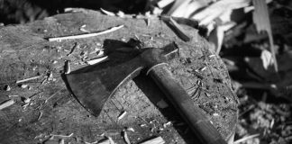 Kako je betonski zid između komšije postao simbol oprosta i novog početka