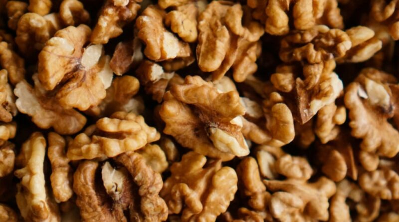 photo-1524593656068-fbac72624bb0-800x445