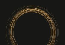 Koliko krugova vidite? Vizuelni test koji podstiče razmišljanje o sebi