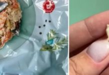 Postala vegetarijanka nakon što je našla zub u hrani