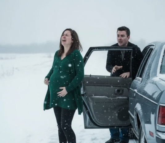 Ostavljena na snežnom putu – Ali sudbina je imala drugačiji plan