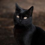 Danas je petak 13. koji je nakon ovog događaja postao uklet: Evo zašto ga zovu crni petak