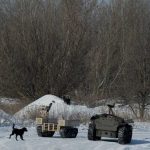 Šokantno otkriće! Psi u ukrajini više nisu isti: 1 stvar najviše iznenađuje