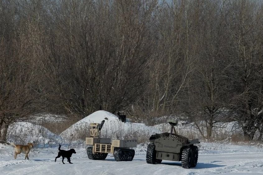 1770749021-psi-690x480