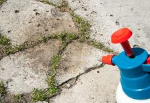 Najbolji domaći sprej za korov: Samo pomiješajte ova tri sastojka iz kuhinje