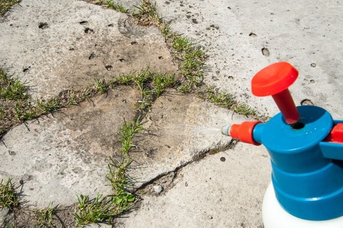 1771491303-shutterstock688182268-670x447-690x480