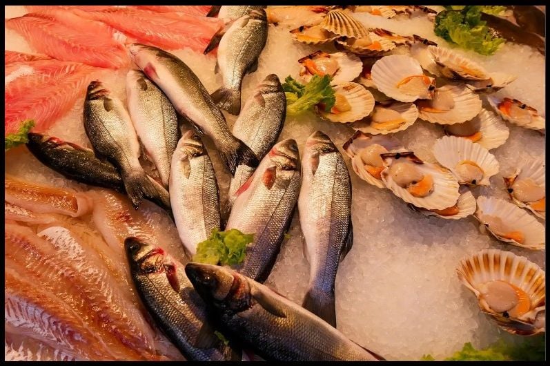 1771755832-snimka-zaslona-2026-02-22-112329-690x480