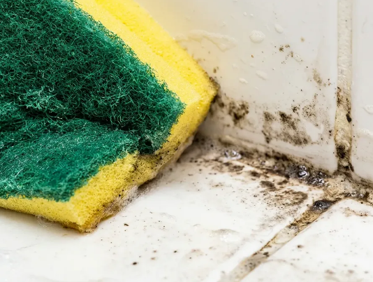 Ovaj mliječni napitak odmah uklanja mrlje od plijesni.