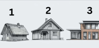 TEST! U KOJOJ KUĆI BISTE ŽIVJELI? Evo šta to govori o vama, OPREZ-SVIMA JE POGODILO!