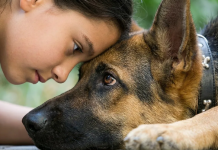 Razgovaraj sa svojim psom na njegovom jeziku: 7 gesta koje zamjenjuju “volim te”