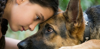 Razgovaraj sa svojim psom na njegovom jeziku: 7 gesta koje zamjenjuju “volim te”