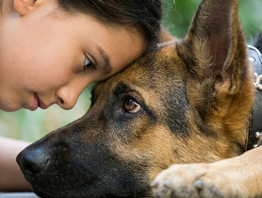 Razgovaraj sa svojim psom na njegovom jeziku: 7 gesta koje zamjenjuju “volim te”