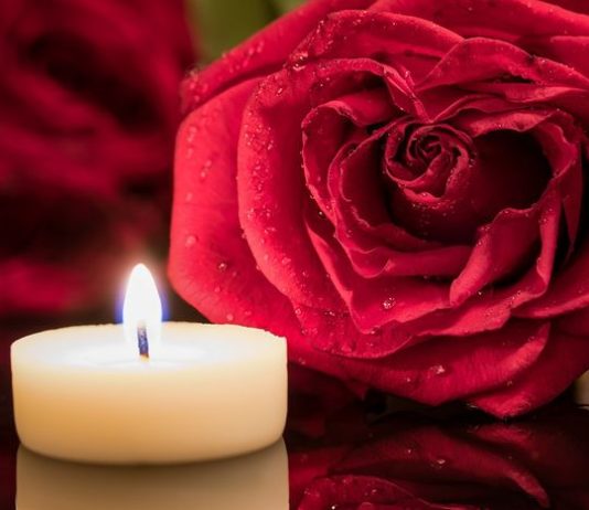 Ruže koje je ostavio na njenom grobu, nestajale su