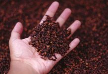 Stavite karanfilić večeras na vrata kupatila: Preko noći riješit ćete problem koji vas godinama muči