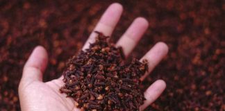 Stavite karanfilić večeras na vrata kupatila: Preko noći riješit ćete problem koji vas godinama muči