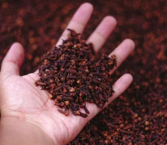 Stavite karanfilić večeras na vrata kupatila: Preko noći riješit ćete problem koji vas godinama muči