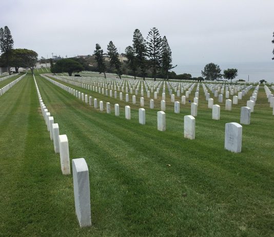 Susret na groblju: Priča o gubitku, saosećanju i neočekivanoj nadi