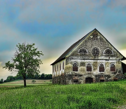 Milioner i devojčica koja je pokazala da dostojanstvo ne može da se kupi