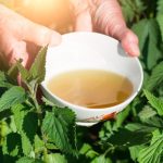 Stari čaj koji obnavlja i oporavlja celo telo: Jača krvnu sliku, snižava šećer, čuva bubrege