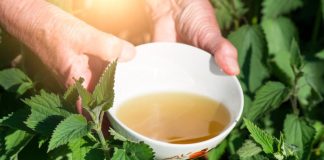 Stari čaj koji obnavlja i oporavlja celo telo: Jača krvnu sliku, snižava šećer, čuva bubrege