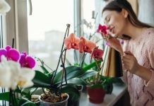 Koje poklone treba izbegavati za 8. mart: Ovo cveće se nosi na groblju i nipošto ne sme da se poklanja damama