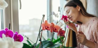 Koje poklone treba izbegavati za 8. mart: Ovo cveće se nosi na groblju i nipošto ne sme da se poklanja damama