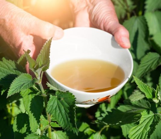 Stari čaj koji obnavlja i oporavlja celo telo: Jača krvnu sliku, snižava šećer, čuva bubrege