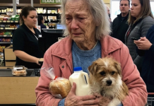 Kada mali čin dobrote promijeni tok života