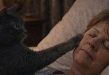 Mačka je svake noći budila svoju vlasnicu i tjerala je iz spavaće sobe: žena je mislila da mačka ima psihičke probleme, sve dok je nije odvela veterinaru.