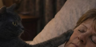 Mačka je svake noći budila svoju vlasnicu i tjerala je iz spavaće sobe: žena je mislila da mačka ima psihičke probleme, sve dok je nije odvela veterinaru.