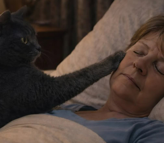 Mačka je svake noći budila svoju vlasnicu i tjerala je iz spavaće sobe: žena je mislila da mačka ima psihičke probleme, sve dok je nije odvela veterinaru.