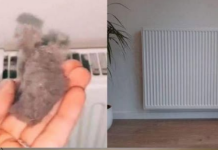 EVO KAKO DA OČISTITE RADIJATORE ZA MINUTU: Bolju foru niste vidjeli, kako se niko ranije nije sjeo ovoga?!