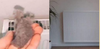 EVO KAKO DA OČISTITE RADIJATORE ZA MINUTU: Bolju foru niste vidjeli, kako se niko ranije nije sjeo ovoga?!