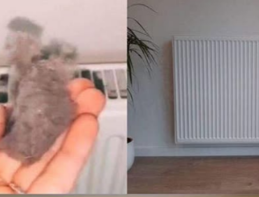 EVO KAKO DA OČISTITE RADIJATORE ZA MINUTU: Bolju foru niste vidjeli, kako se niko ranije nije sjeo ovoga?!