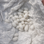 Pronašla sam čudne bijele kuglice u ruksaku svog 15-godišnjeg sina: on kaže da su to samo bomboni, ali mu ne vjerujem