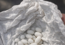 Pronašla sam čudne bijele kuglice u ruksaku svog 15-godišnjeg sina: on kaže da su to samo bomboni, ali mu ne vjerujem