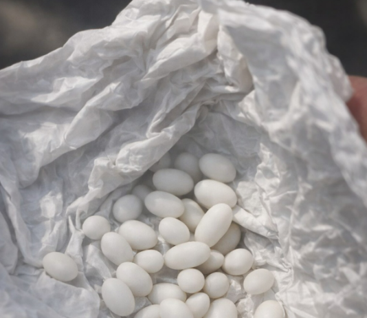 Pronašla sam čudne bijele kuglice u ruksaku svog 15-godišnjeg sina: on kaže da su to samo bomboni, ali mu ne vjerujem