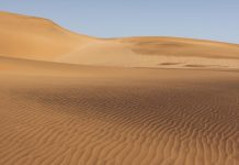 Kina godinama sadila milijarde stabala usred pustinje: Sateliti sada pokazali nevjerojatan rezultat