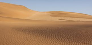 Kina godinama sadila milijarde stabala usred pustinje: Sateliti sada pokazali nevjerojatan rezultat