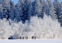 Susret u magli: Kako jedan neznanac može promeniti pogled na život