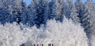Susret u magli: Kako jedan neznanac može promeniti pogled na život